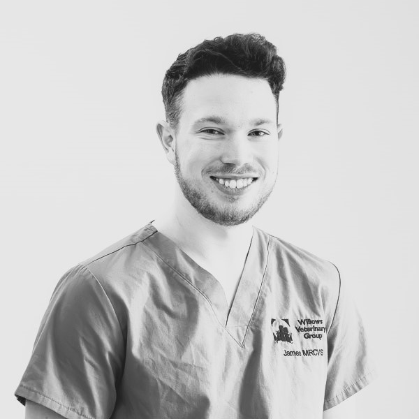 James Clark - WVG HH (Web)